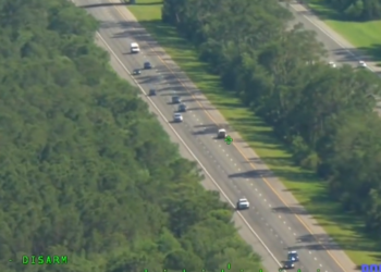 Florida Man Steals Two Police Cars During Chase_part2