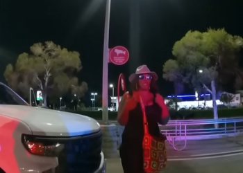 LAPD Officer Shoots at Woman Who Hit Pedestrian Car During Child Custody_part2