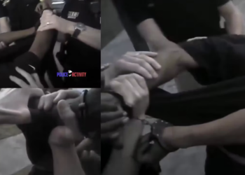 Bodycam Videos Show Cops Tase Wrong Man Mistaken_part2