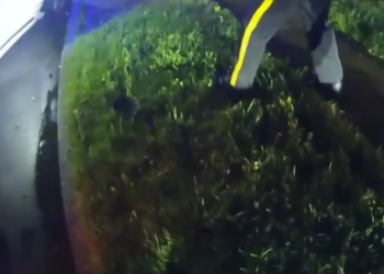 Driver Intentionally Crashes Into Police Cars, Injuring Officers Police K9_part2